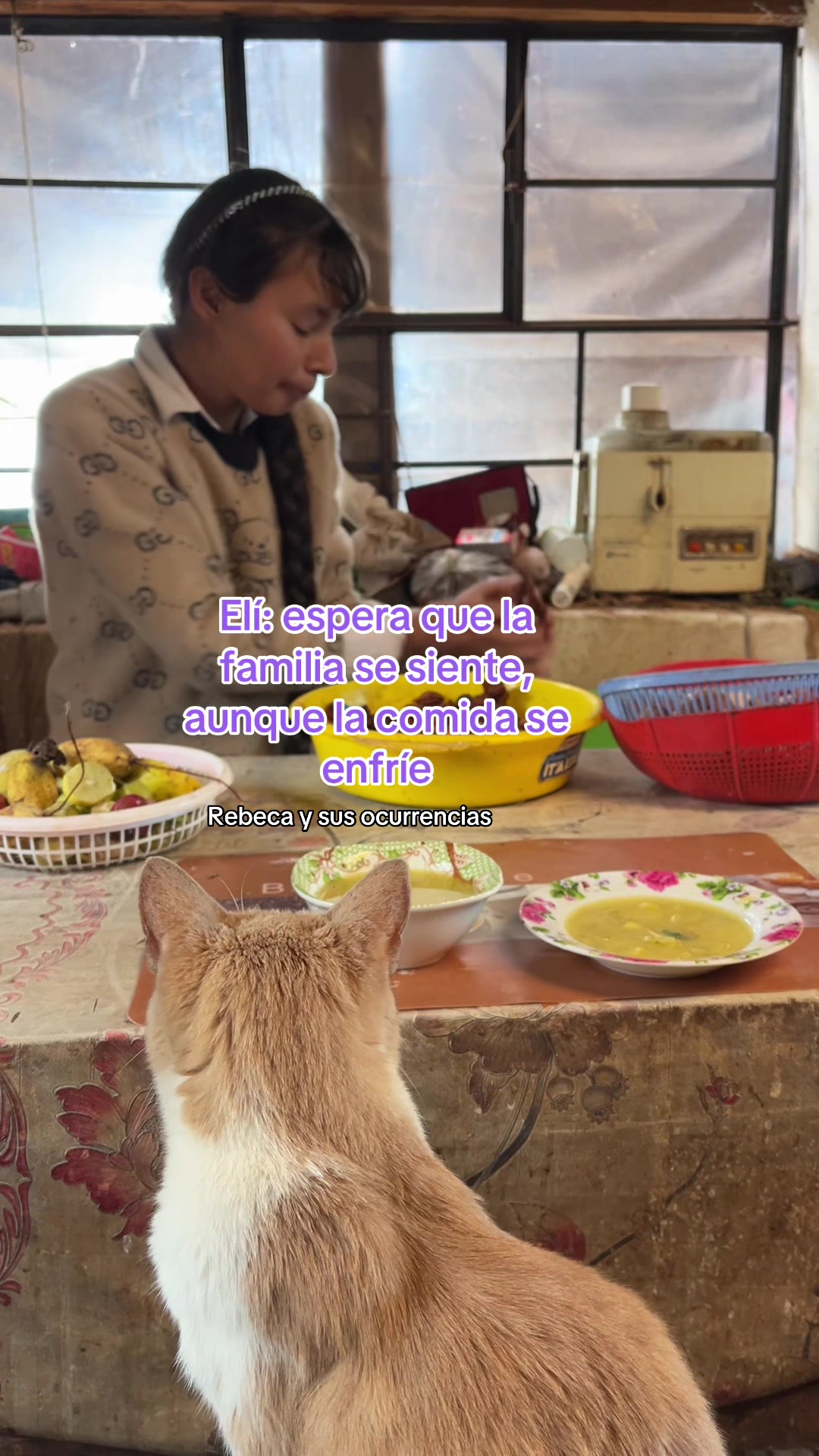@🐈Rebeca y sus ocurrencias