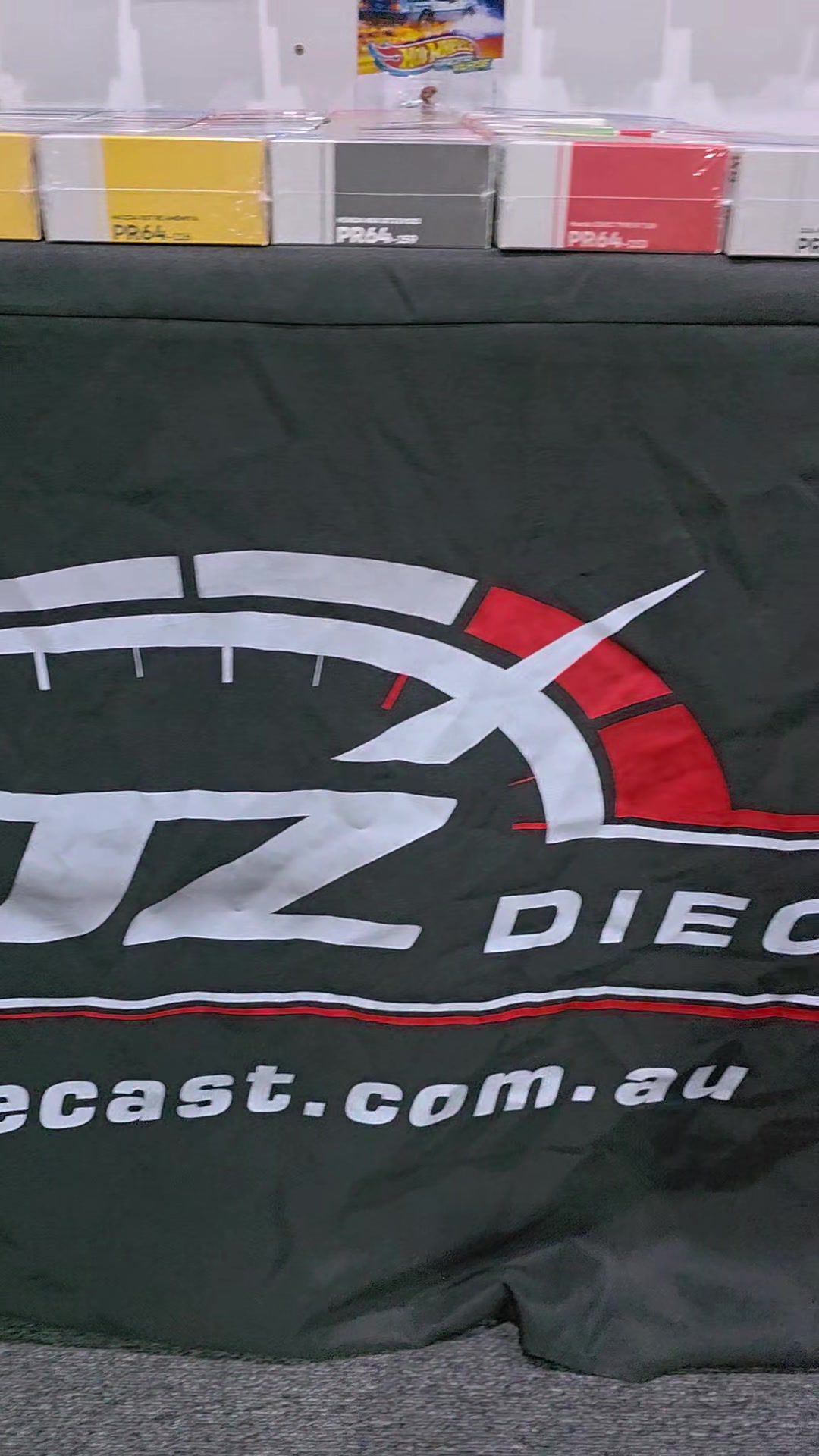 @ejzdiecast