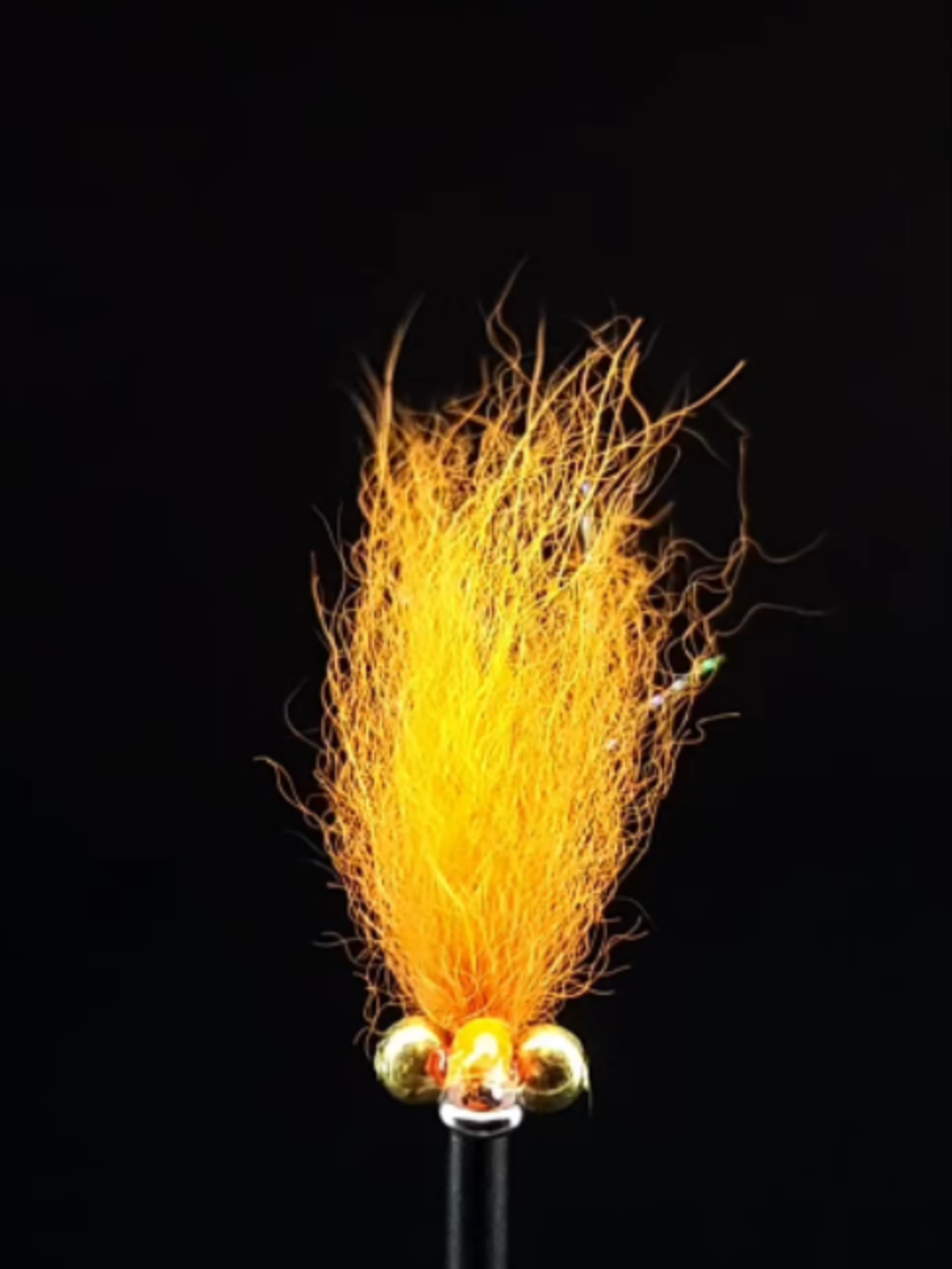 @veevusFishing
