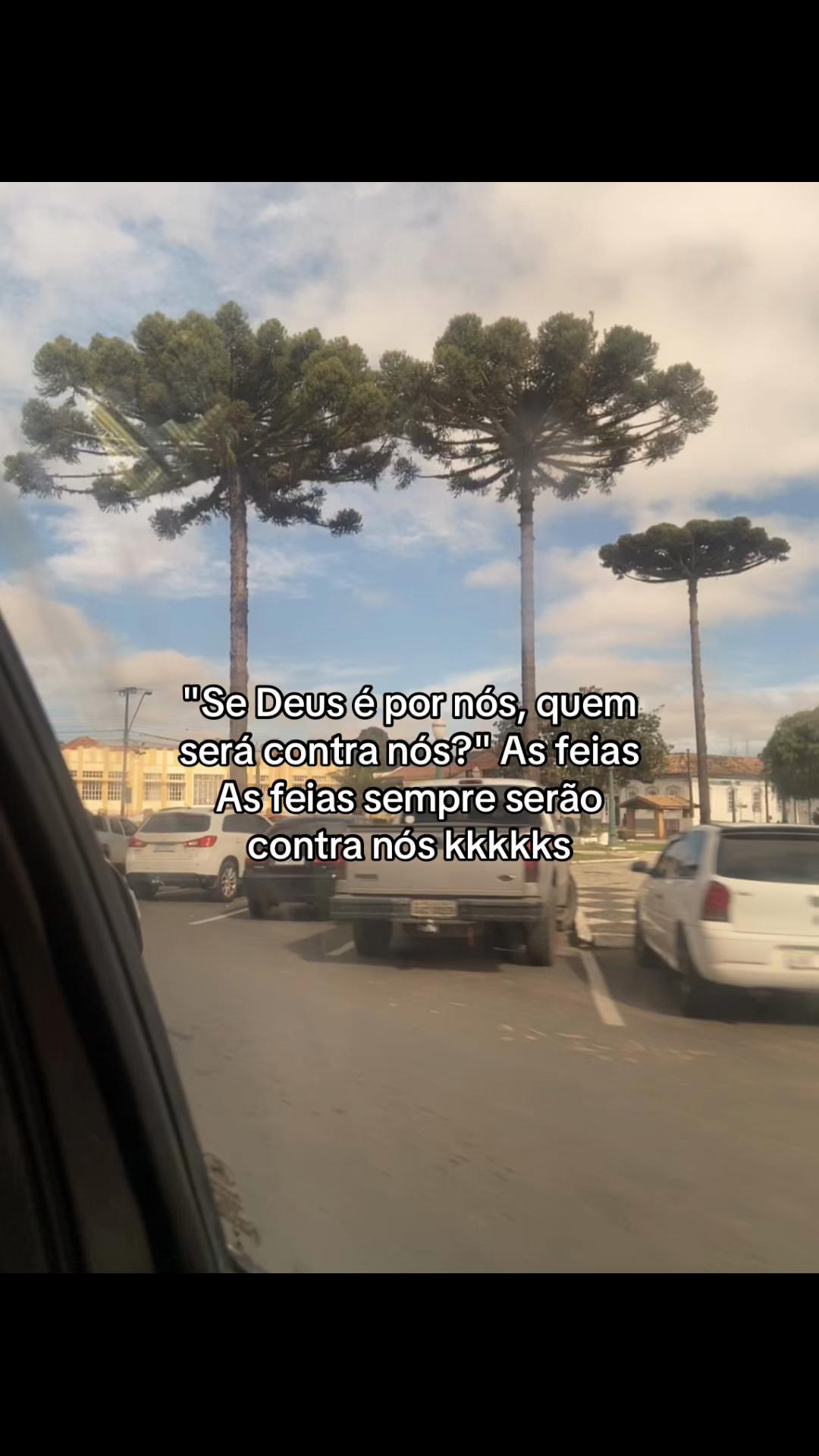 @kaucastanhoo🐻