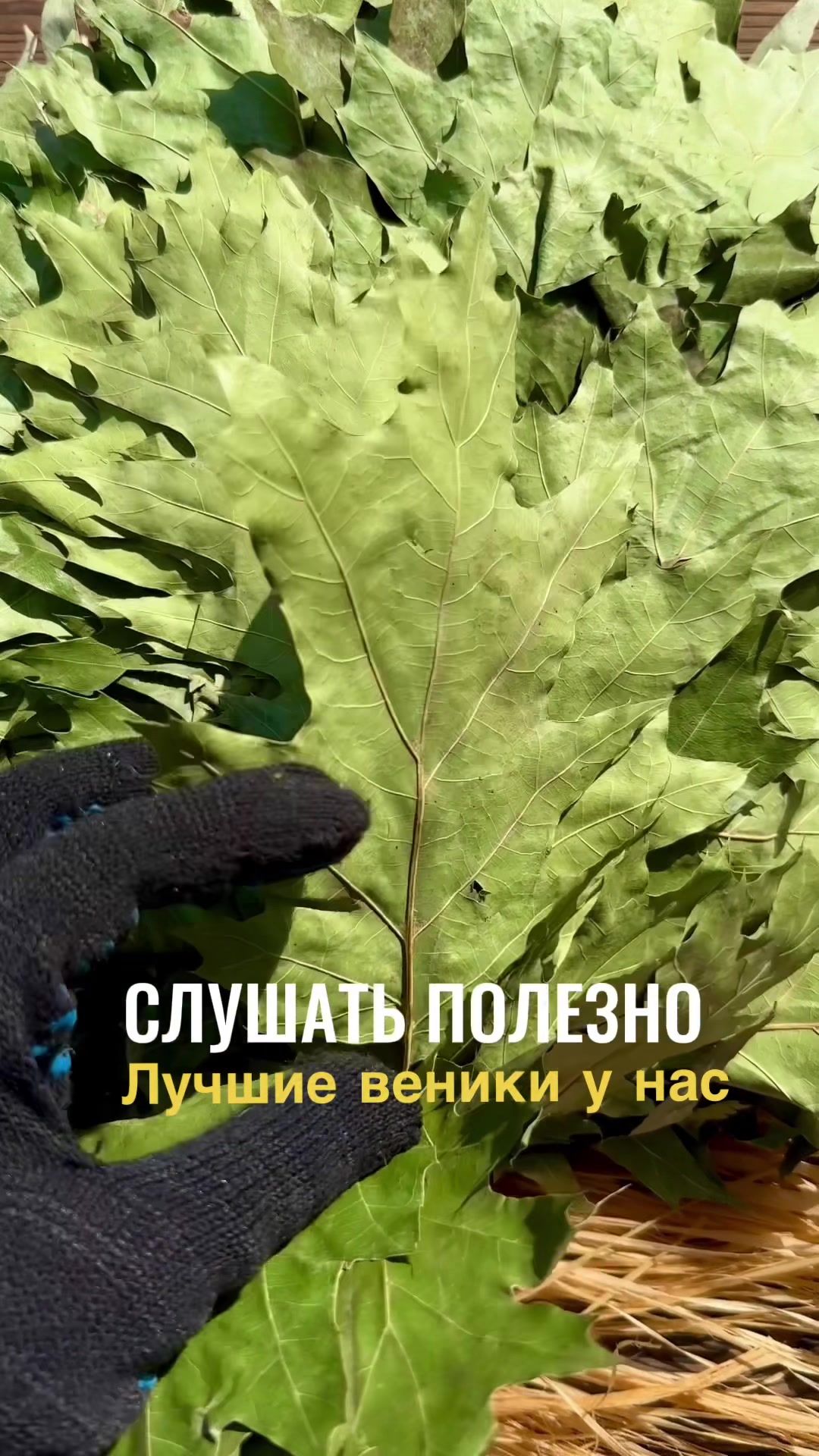 @ВЕНИКИ ДЛЯ БАНИ - DUBVENIK