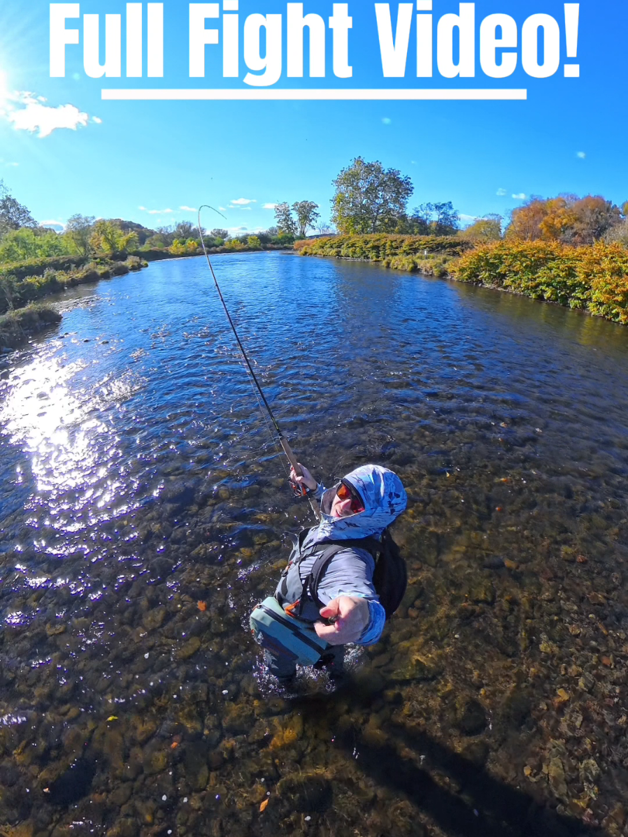 @the360angler