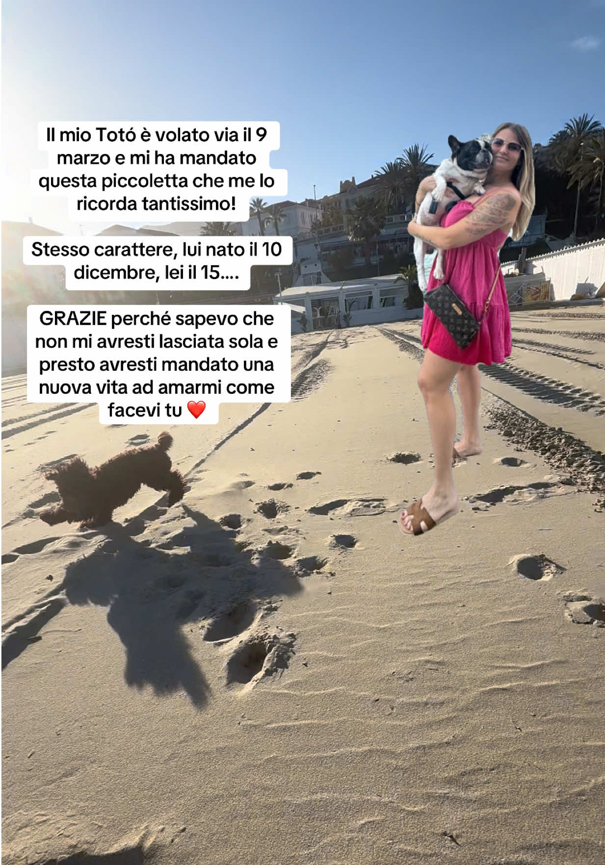 @Luna | Travel Content 🌎