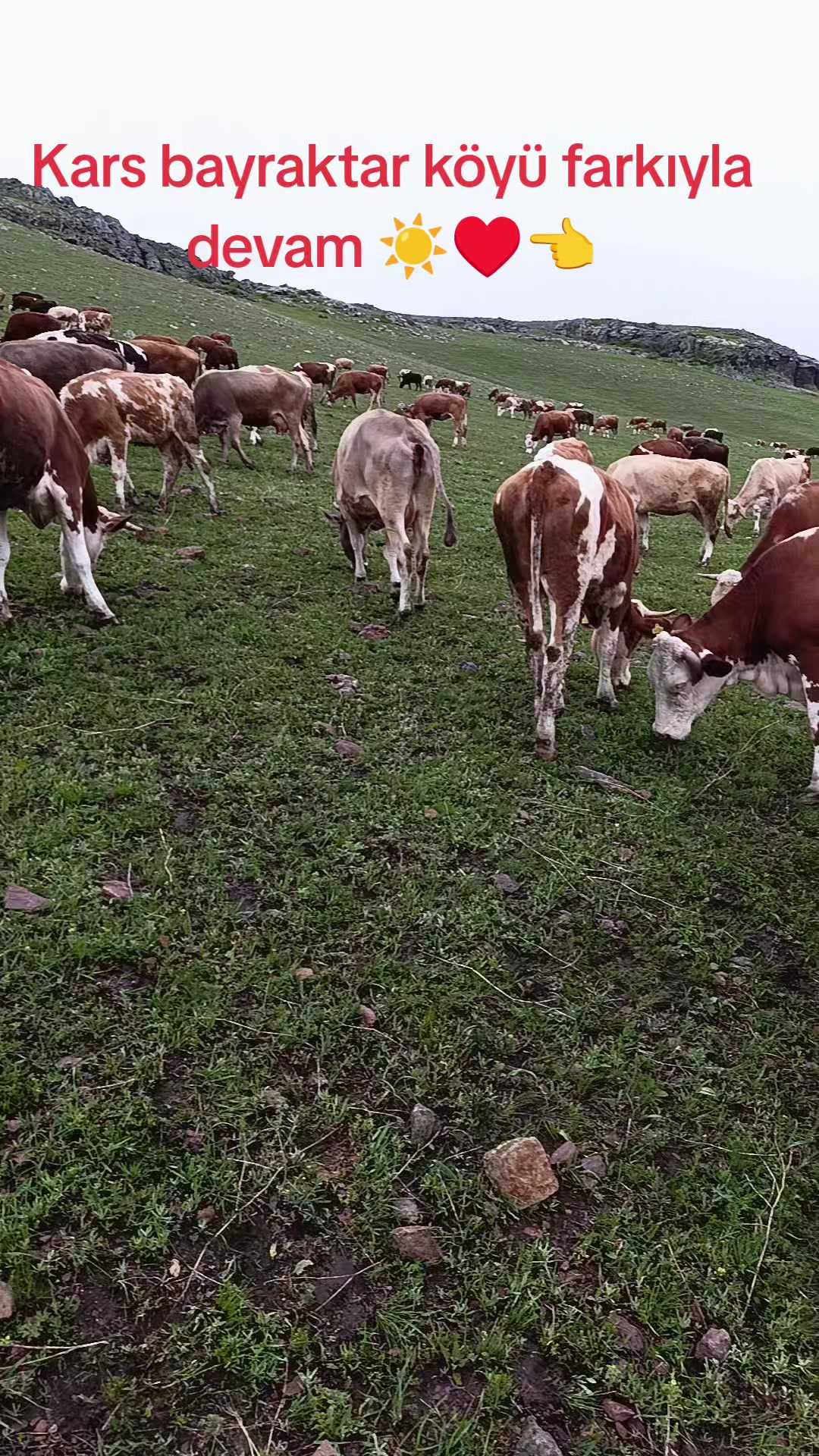 @FERHAT ÇUKU 76☀️