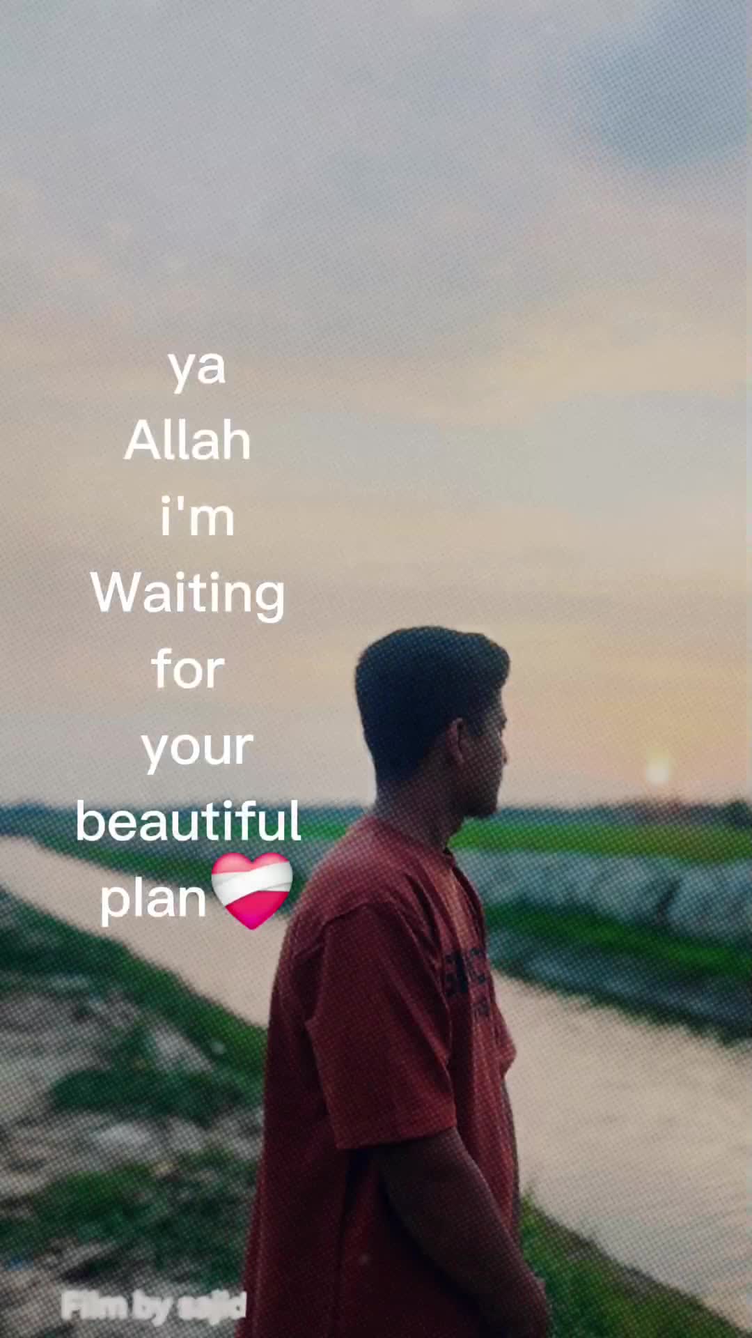 @Sajid Vai 🚩