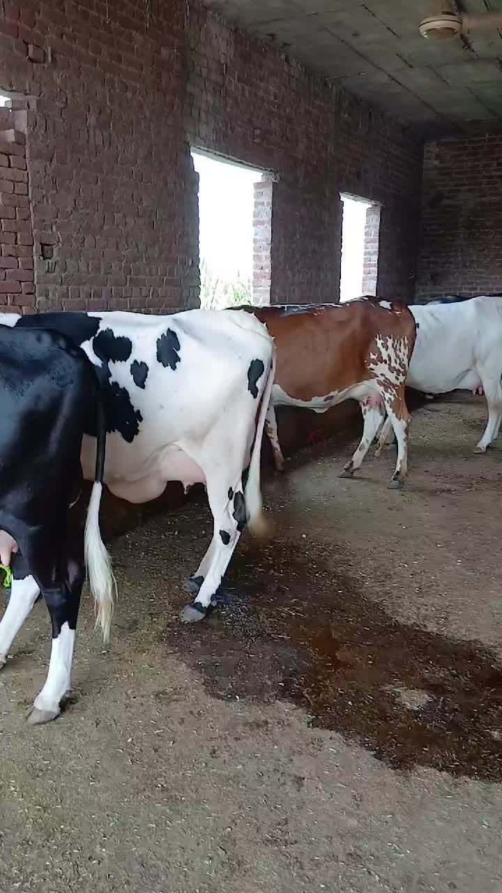 @Farming and Business Ideas