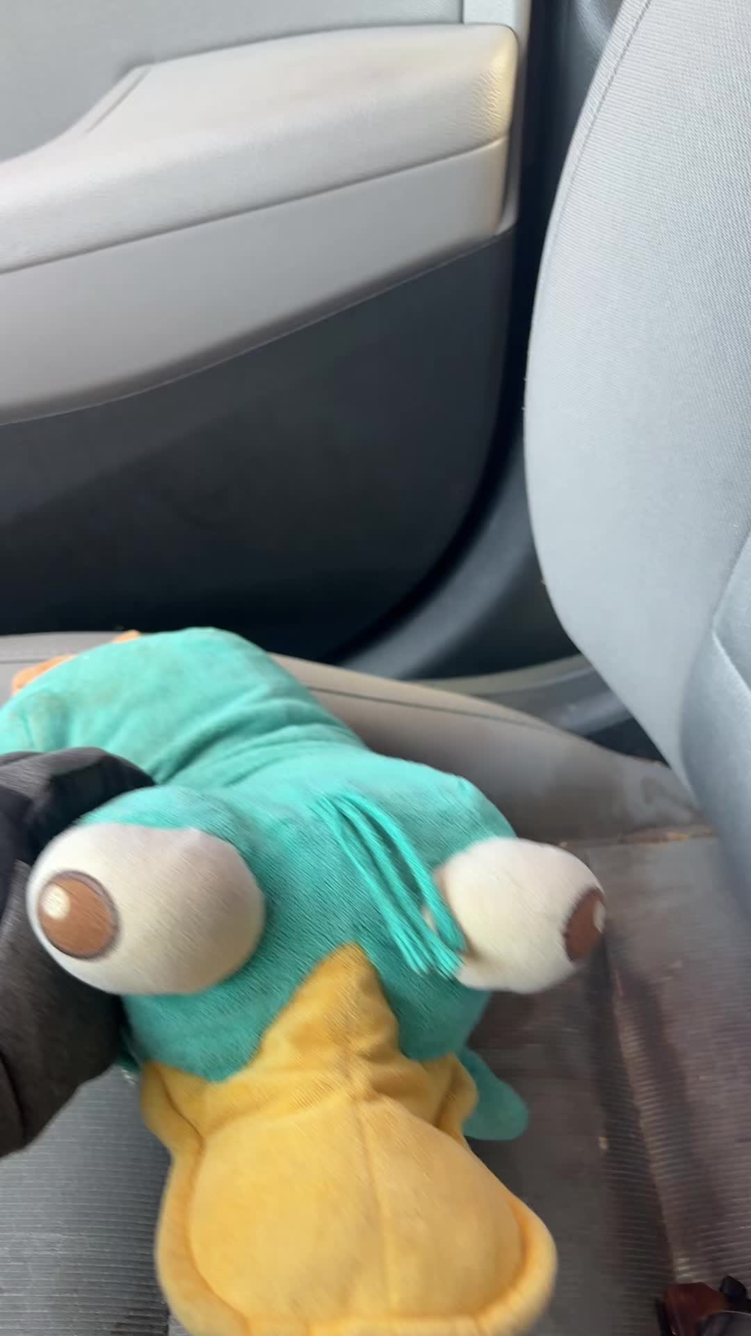 @ang3licmeowttv