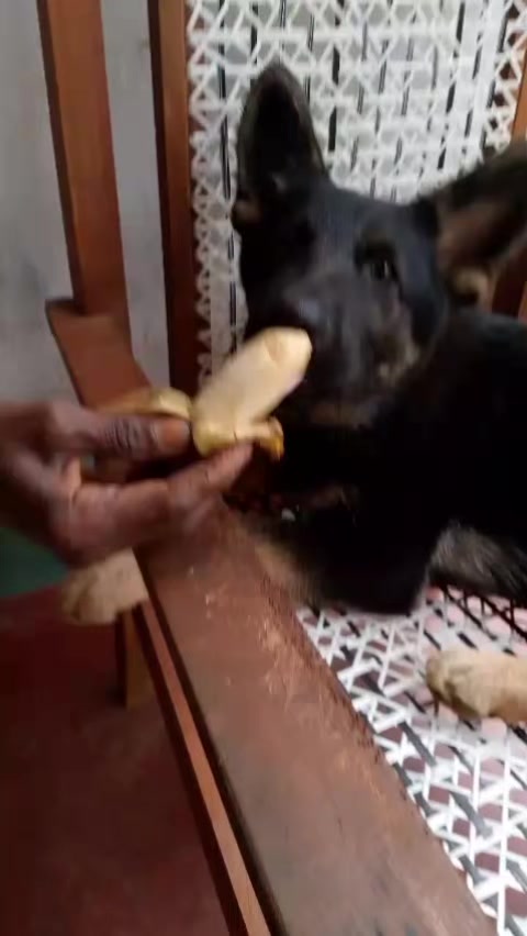 @mahi baba❤️🤭