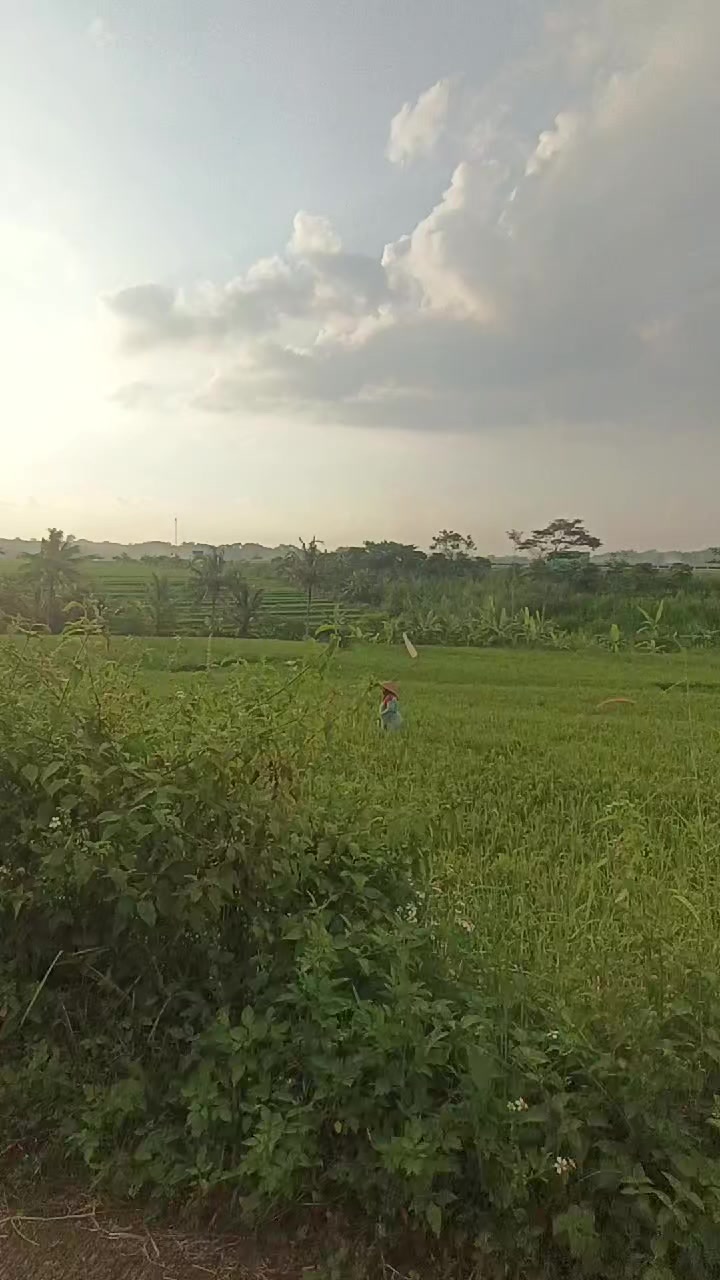 @WULANSARI