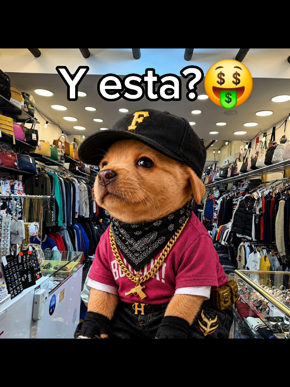 @El Perrix