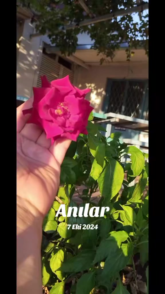 @hanım💐ağa🌹46