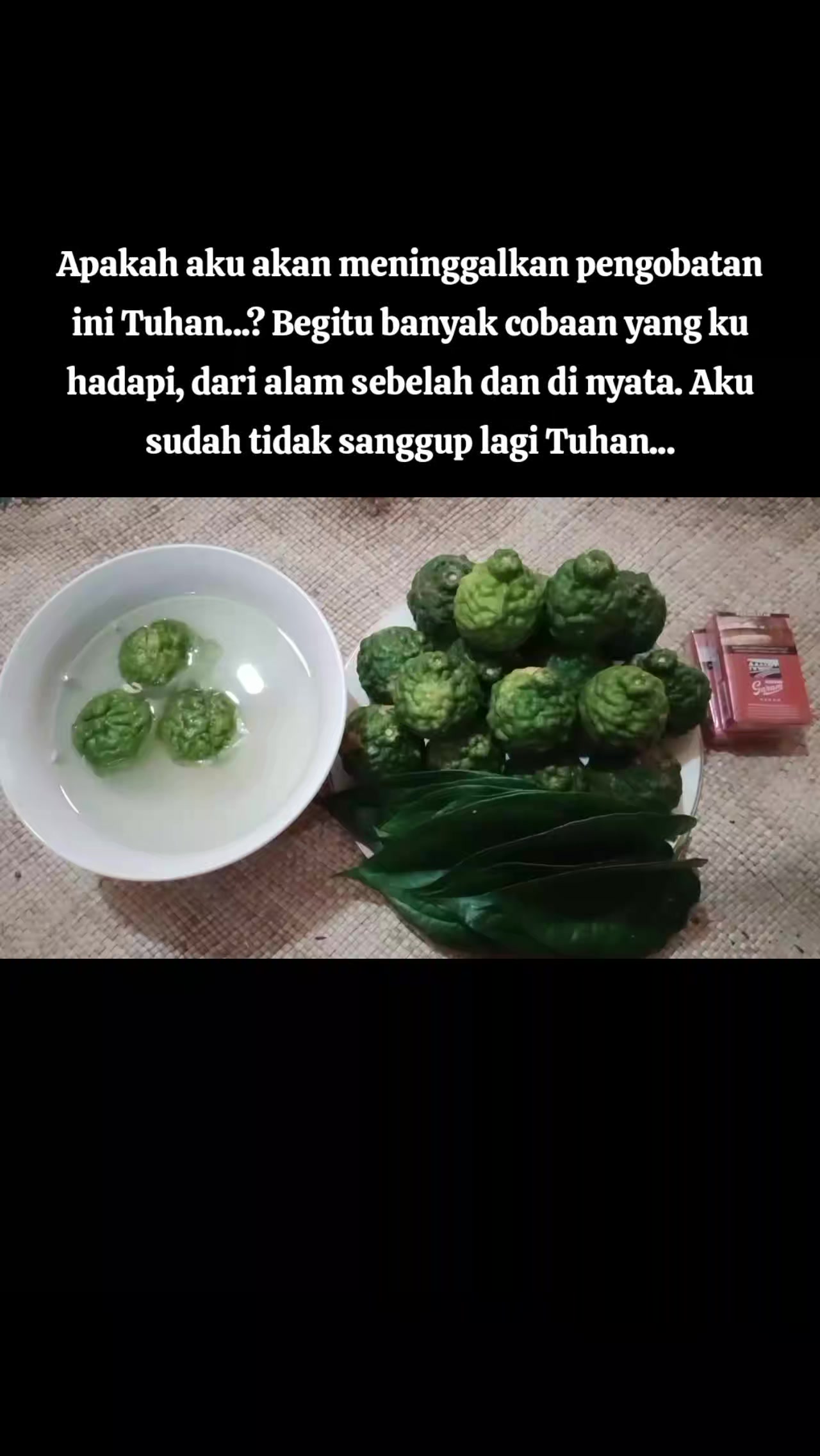 @👑Sakti Raja Simatupang👑