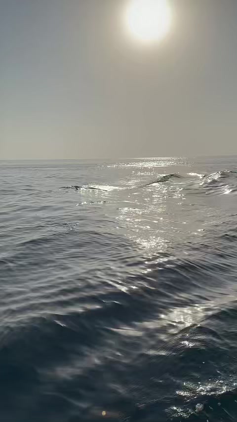 @SAEED ⚡️