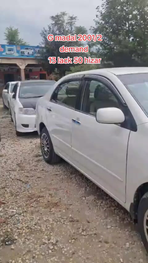 @ncpcarlover1