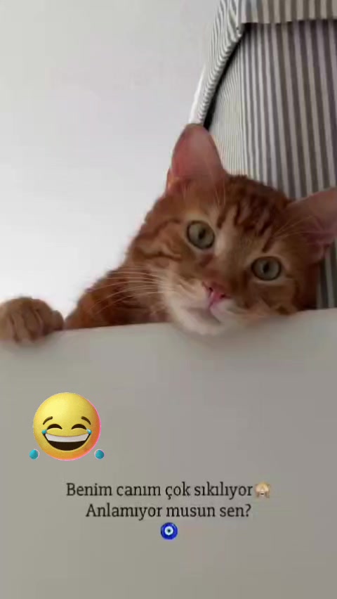 @gamzeli kızı 😊 minnoşlari