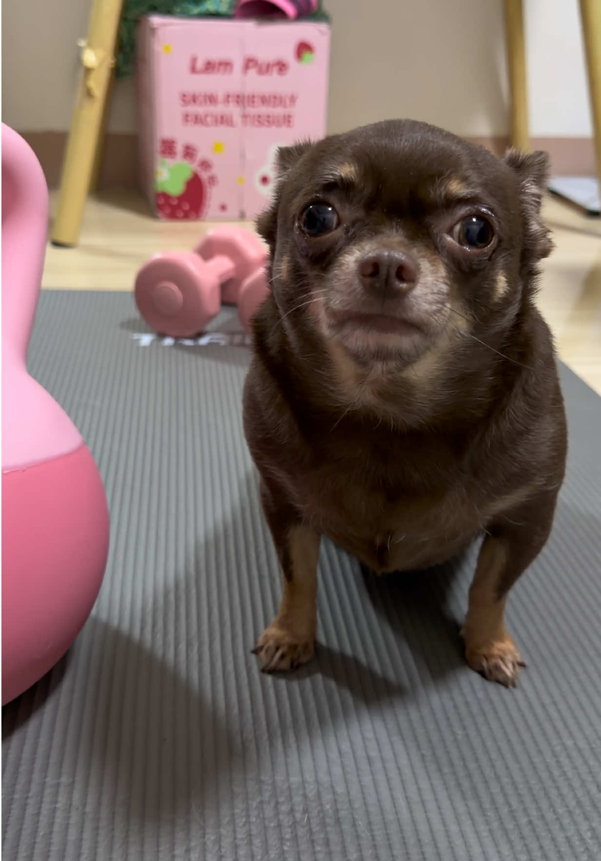 @Bambi