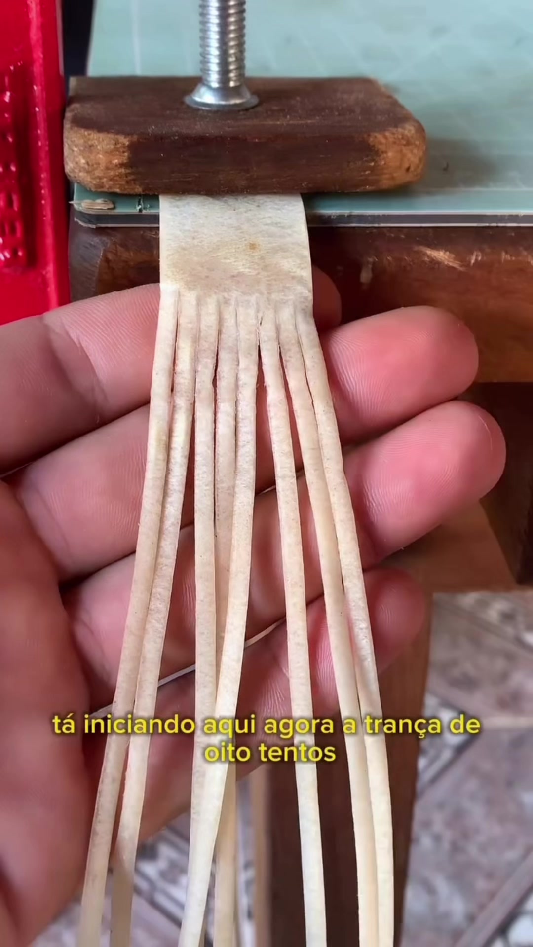 @José Vitor Carvalho