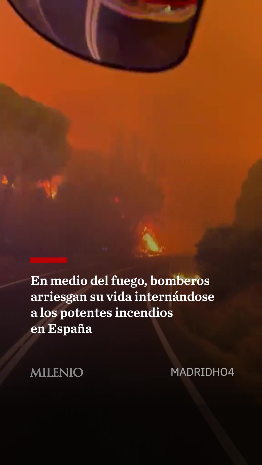 @MILENIO