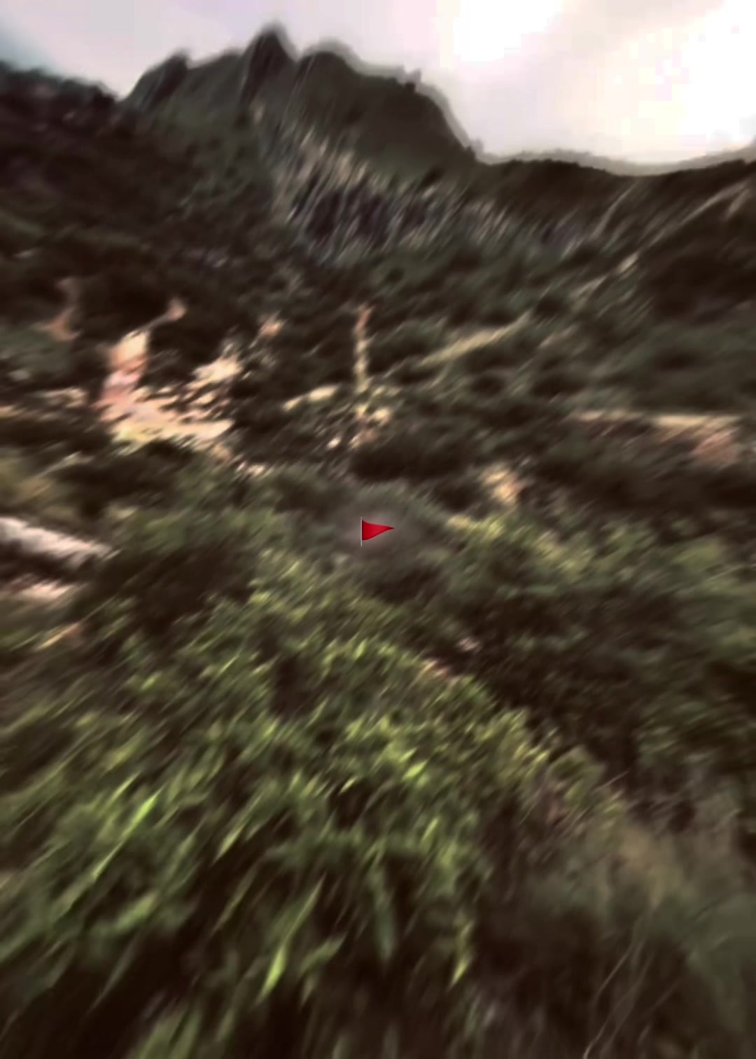 @𝘿𝘼𝙉𝙄 🚩