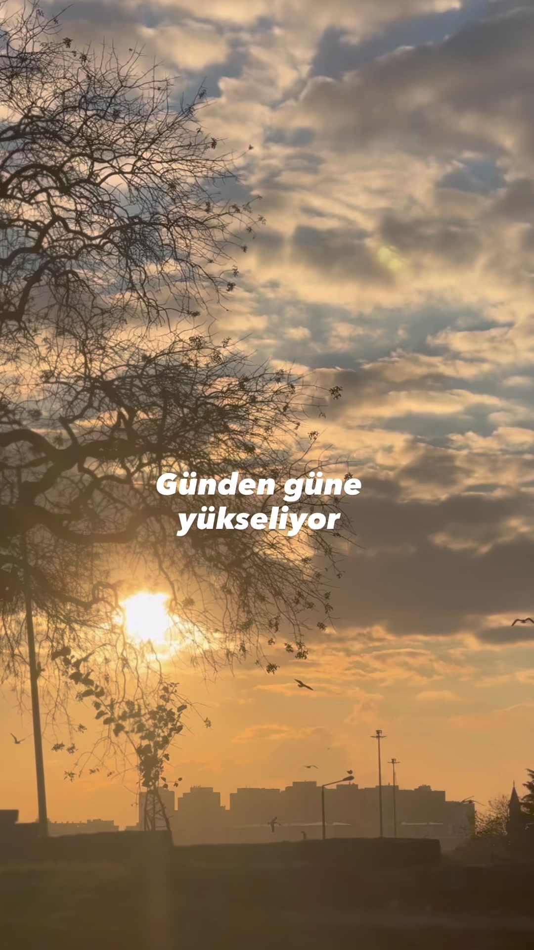 @𝕰𝖘𝖗𝖆