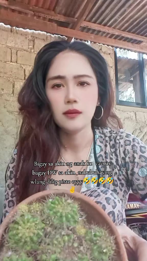 @我唯一的 Babi ko 🦋🌻