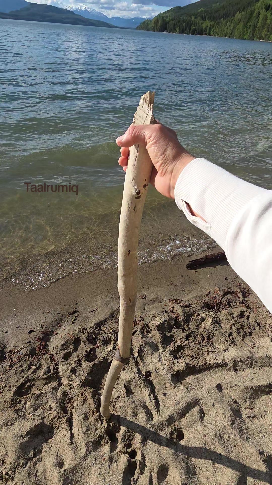 @Taalrumiq