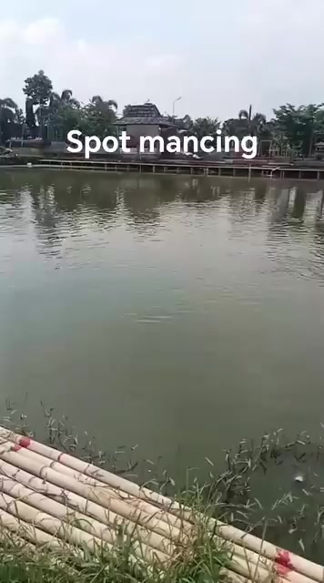 @erdin mancing