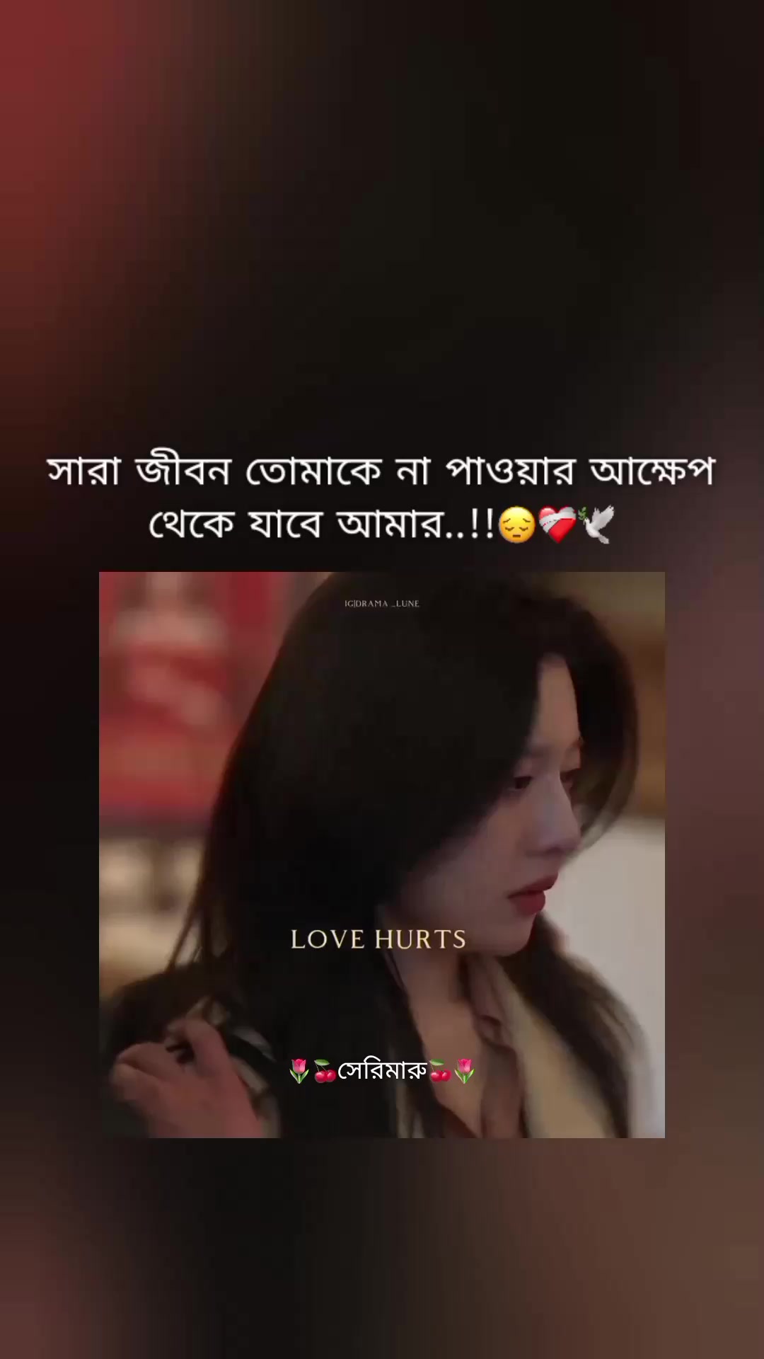 @🌷🍒সেরিমারু🍒🌷