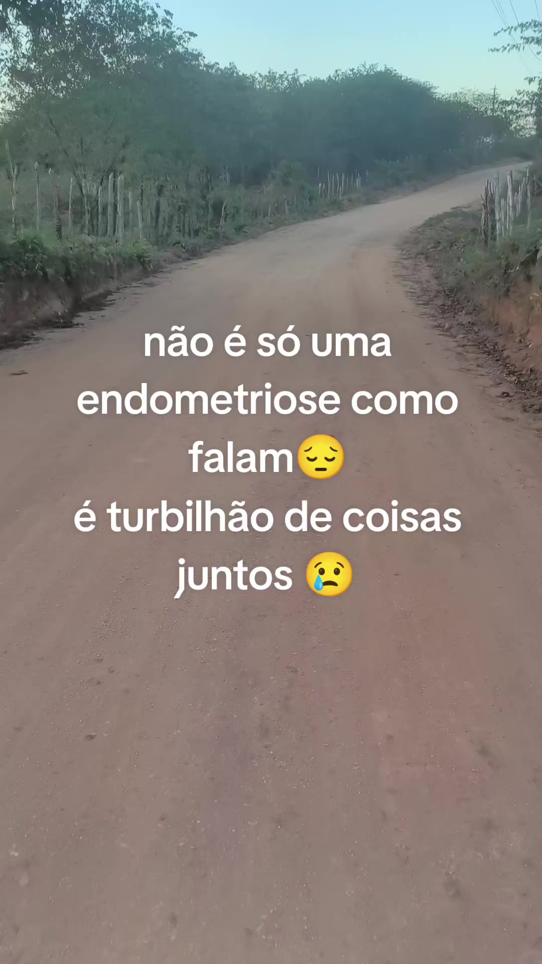 @Viviane Silva