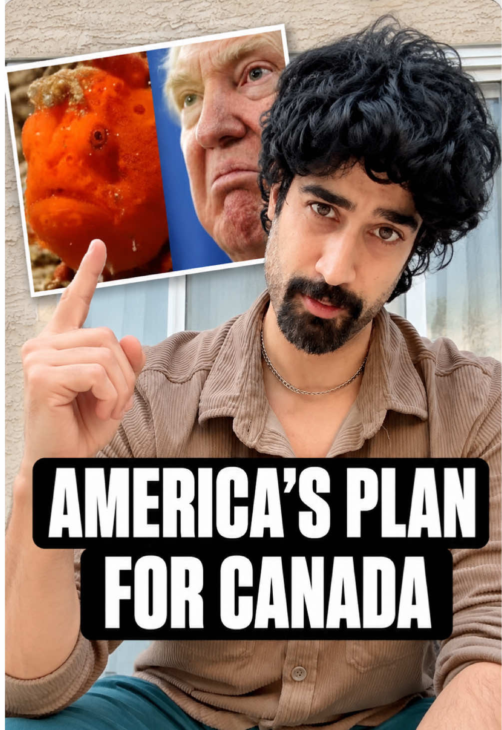 @Hassan Canadabi
