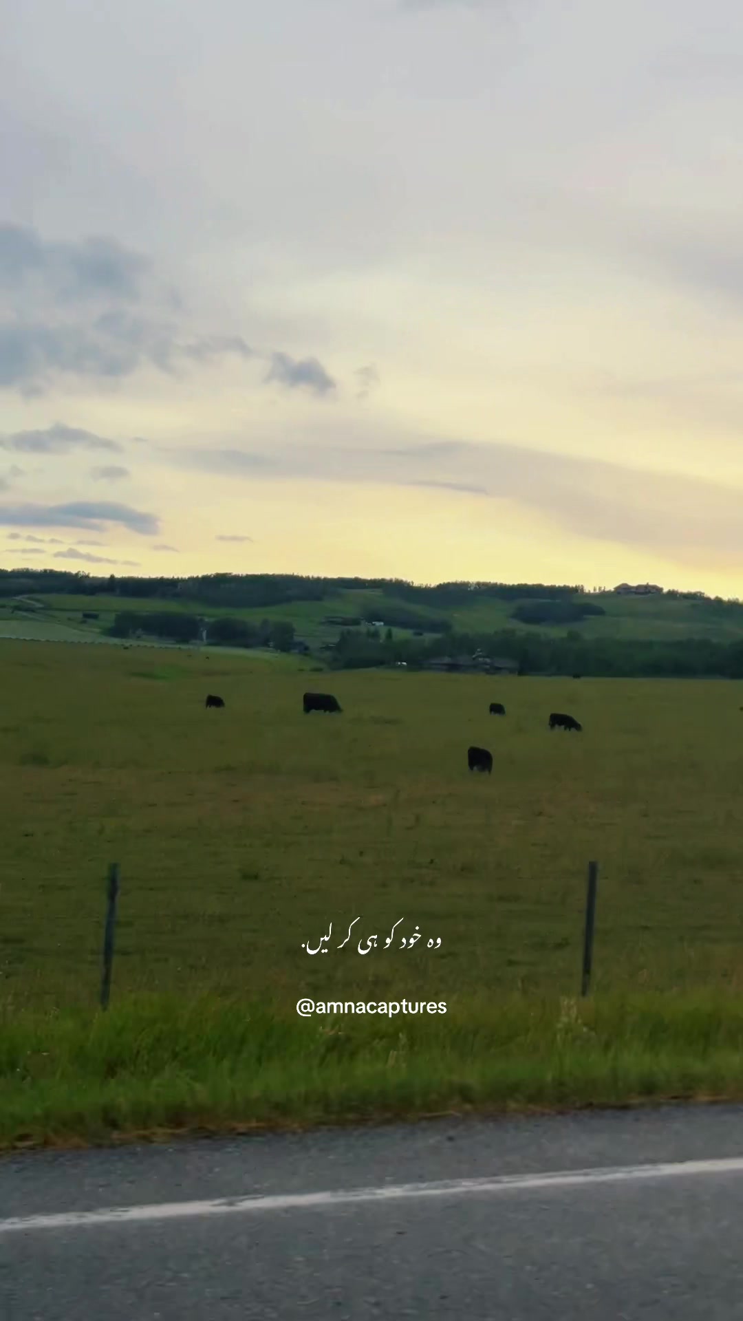 @Nature lover 🇨🇦
