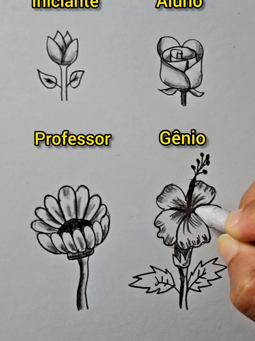 @Janil Arts