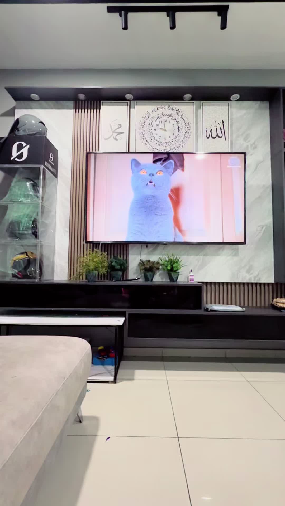 @M.nizzam