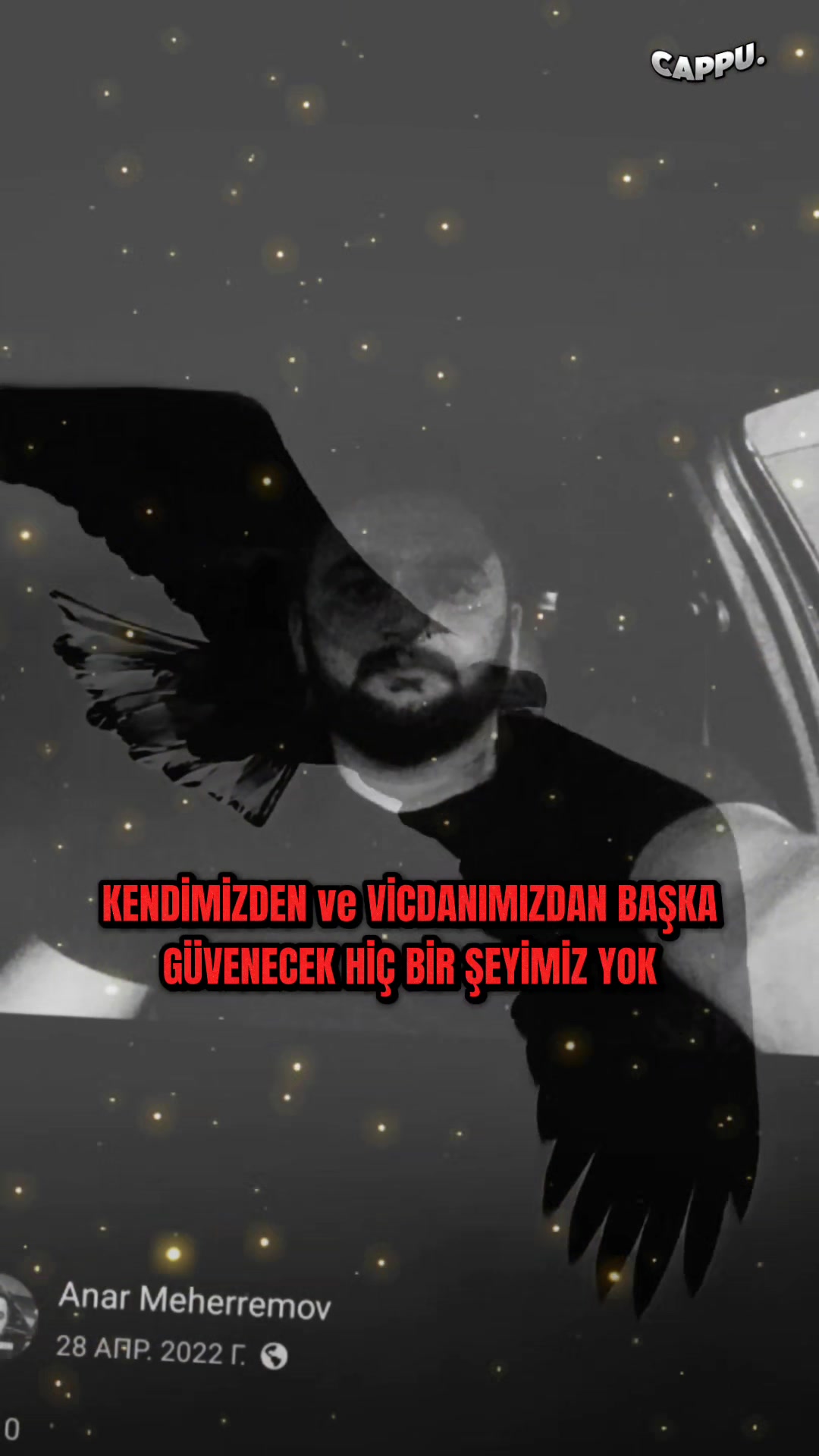 @Anar 313
