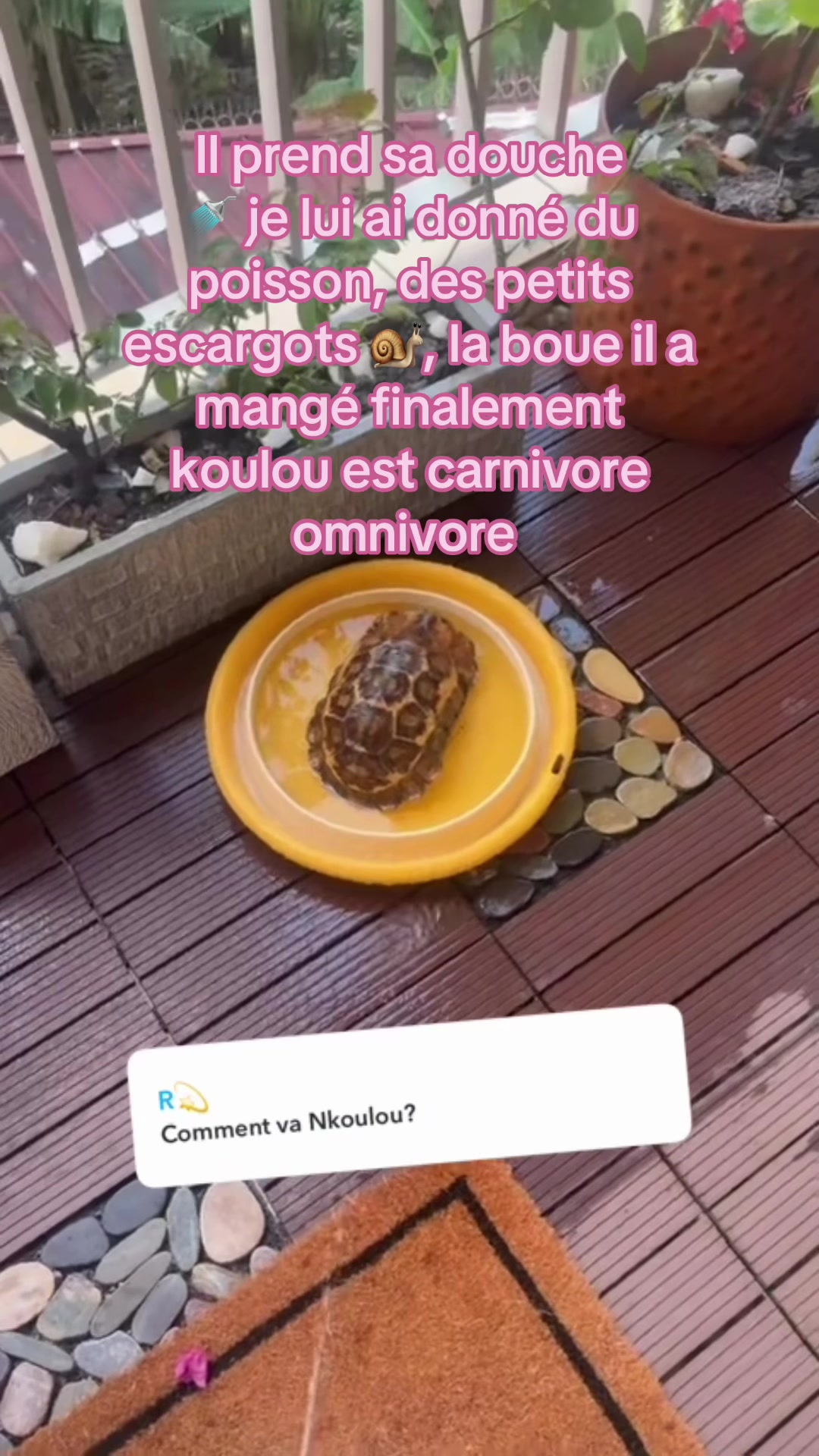 @DAMARISSE