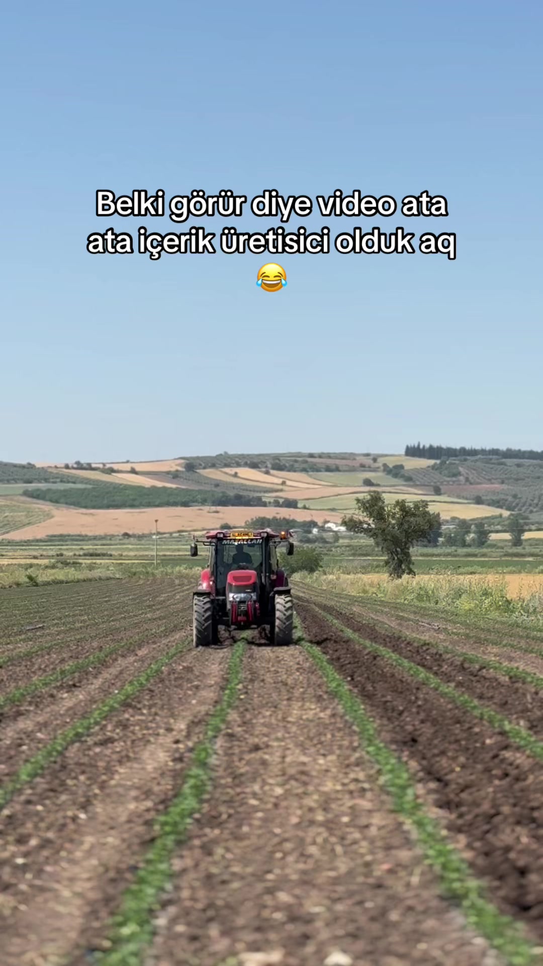 @gozde