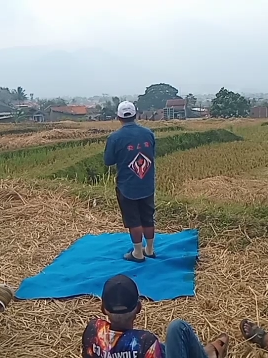 @T F vlog