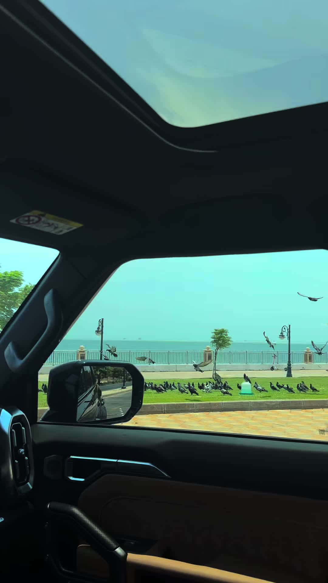 @نجد الجبيل 🐎