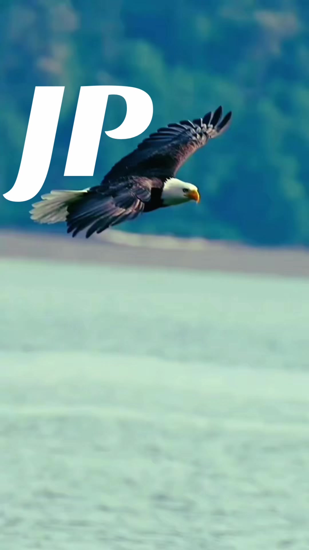 @💪Jp💪