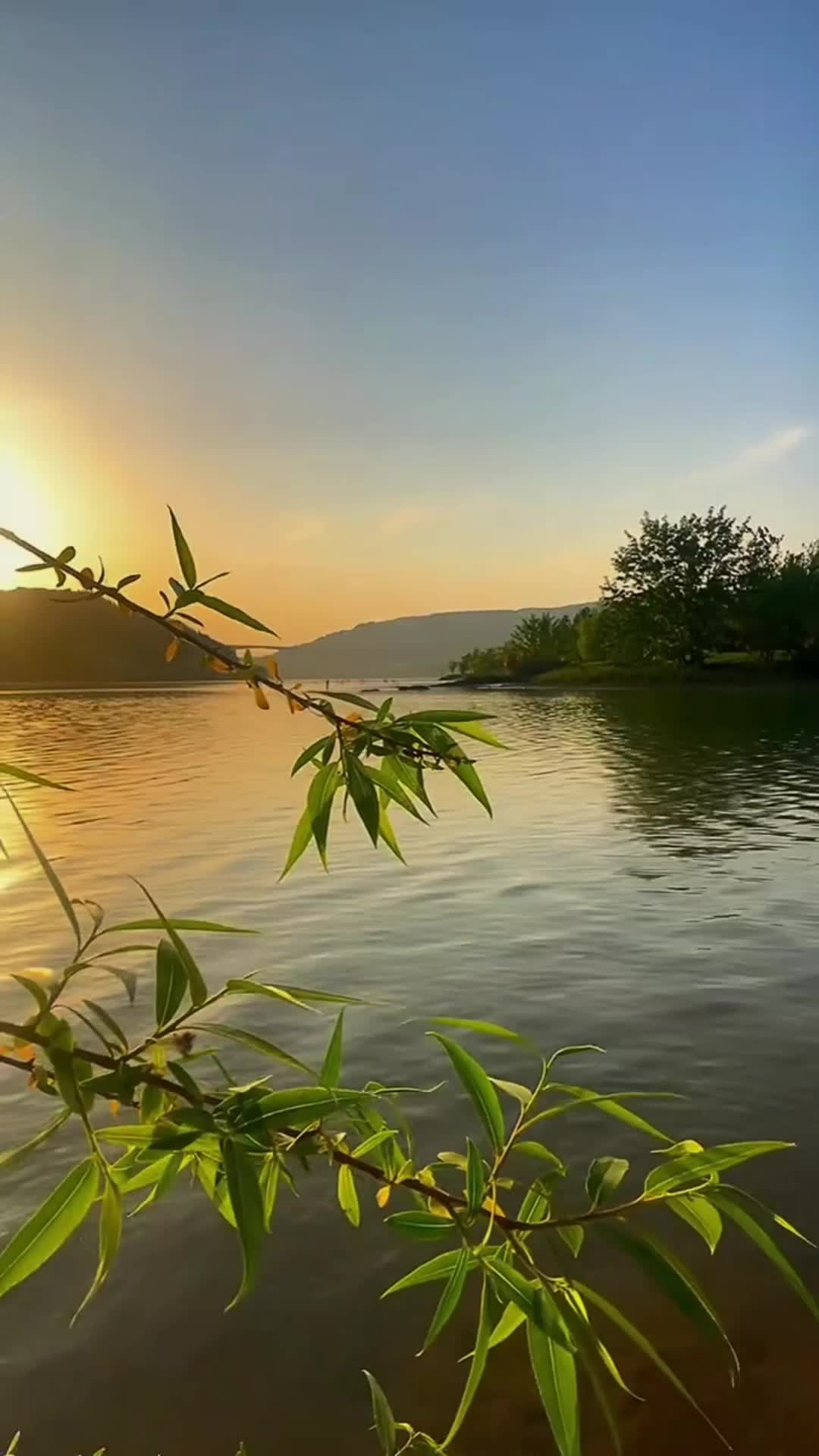 @Karimul Islam