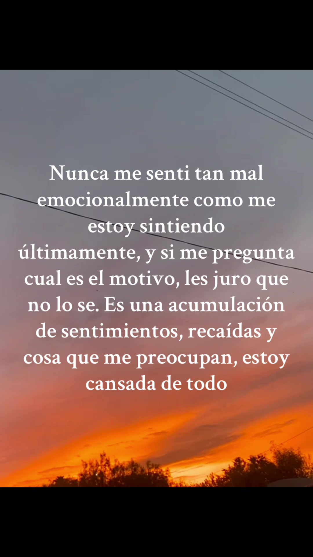 @Yocselin Rdz 🌸
