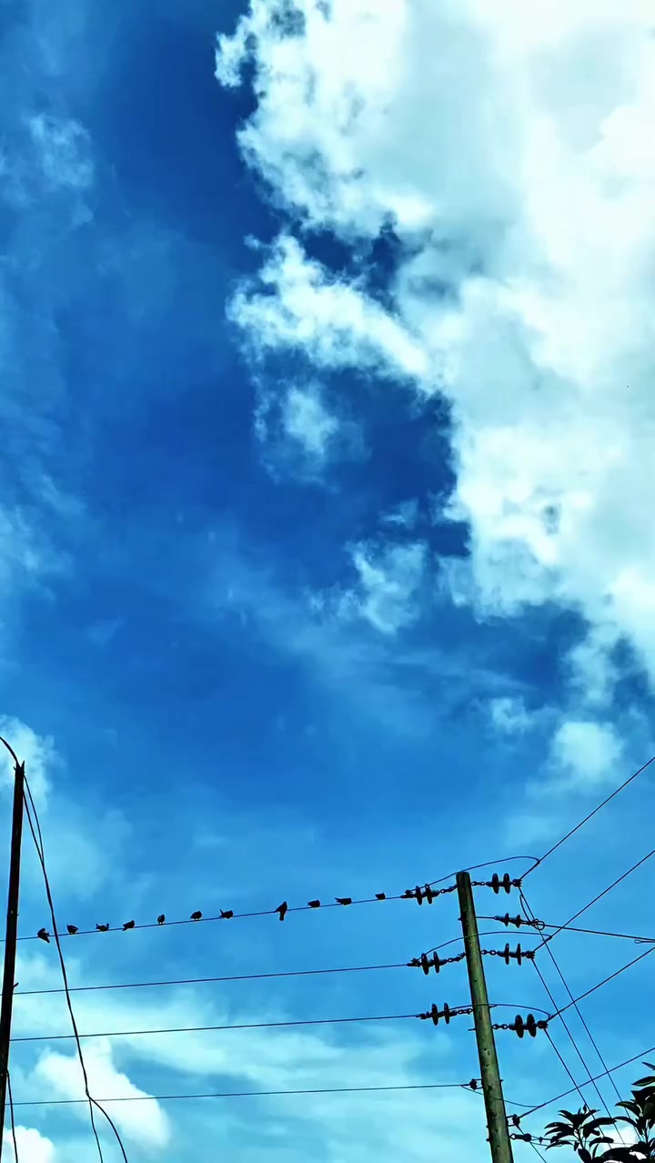 @🌲@hkraju6🌲🇧🇩🫶🇭🇰