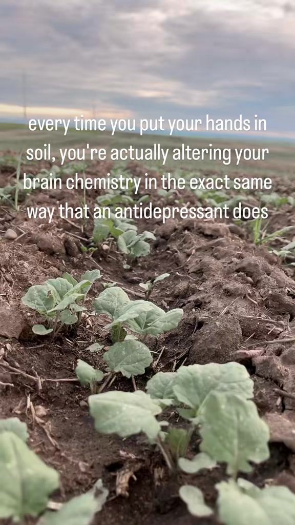 @Farm Geek