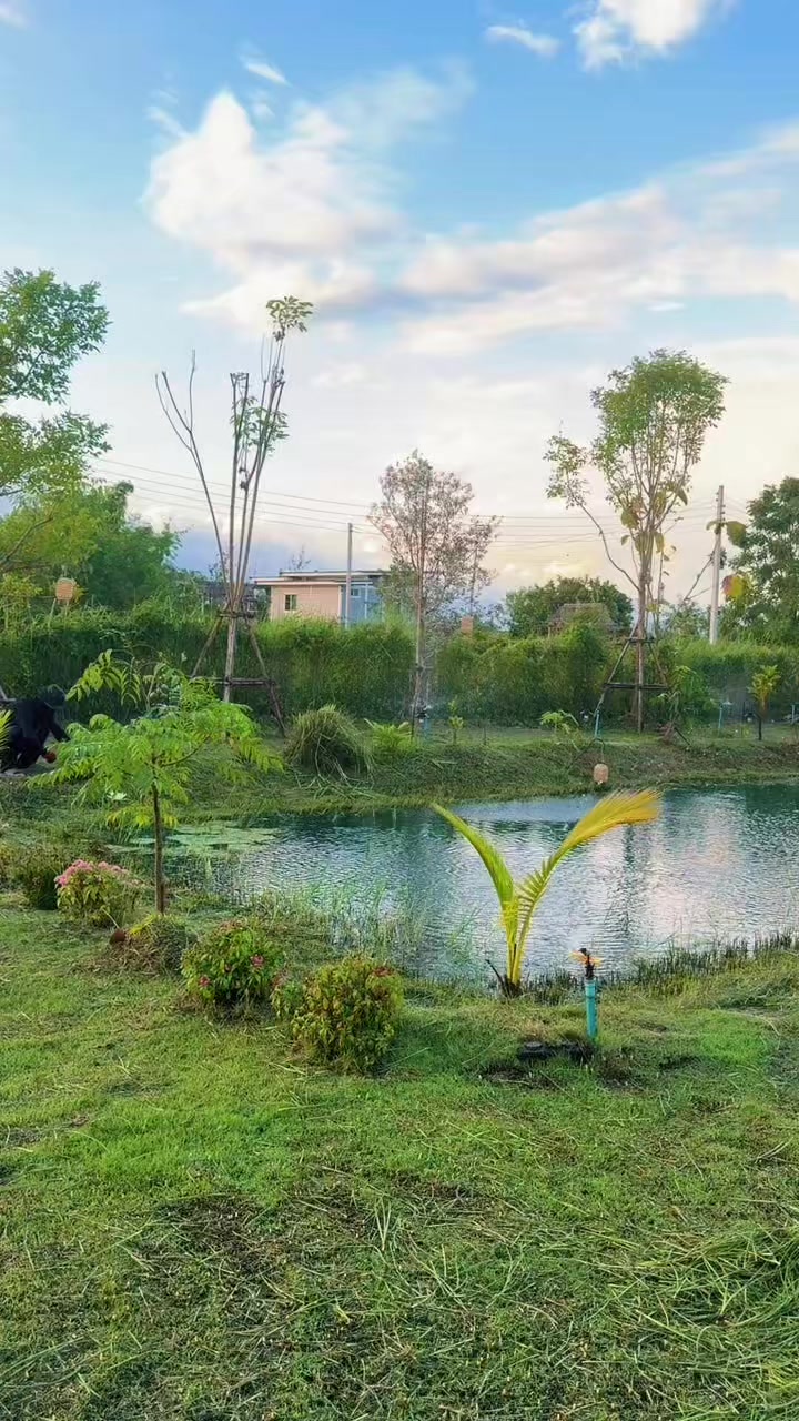 @บ้านสวนวัยที่ยังไม่เกษียณ🏡🌾