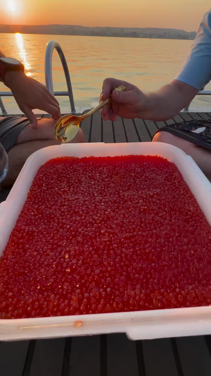 @Рыбец 64