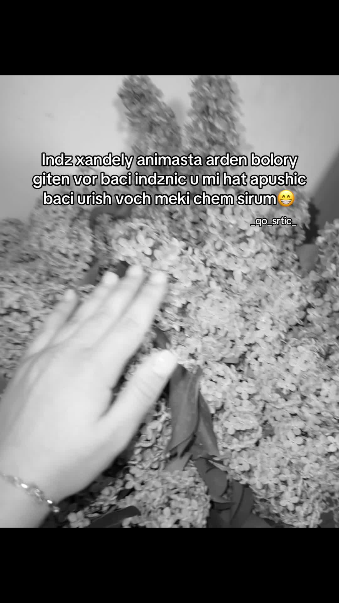 @_qo_srtic__