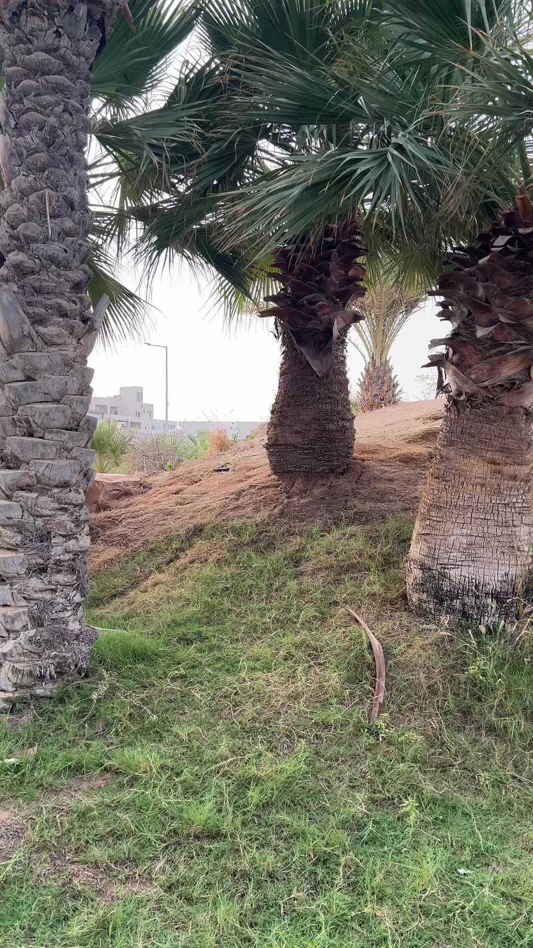 @مُصورة جوال | نَ 📸