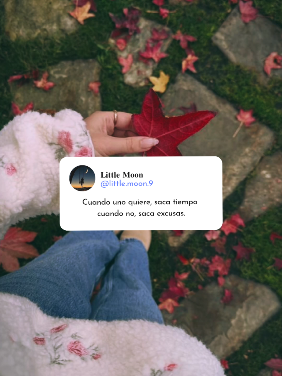 @𝐋𝐢𝐭𝐭𝐥𝐞 𝐌𝐨𝐨𝐧
