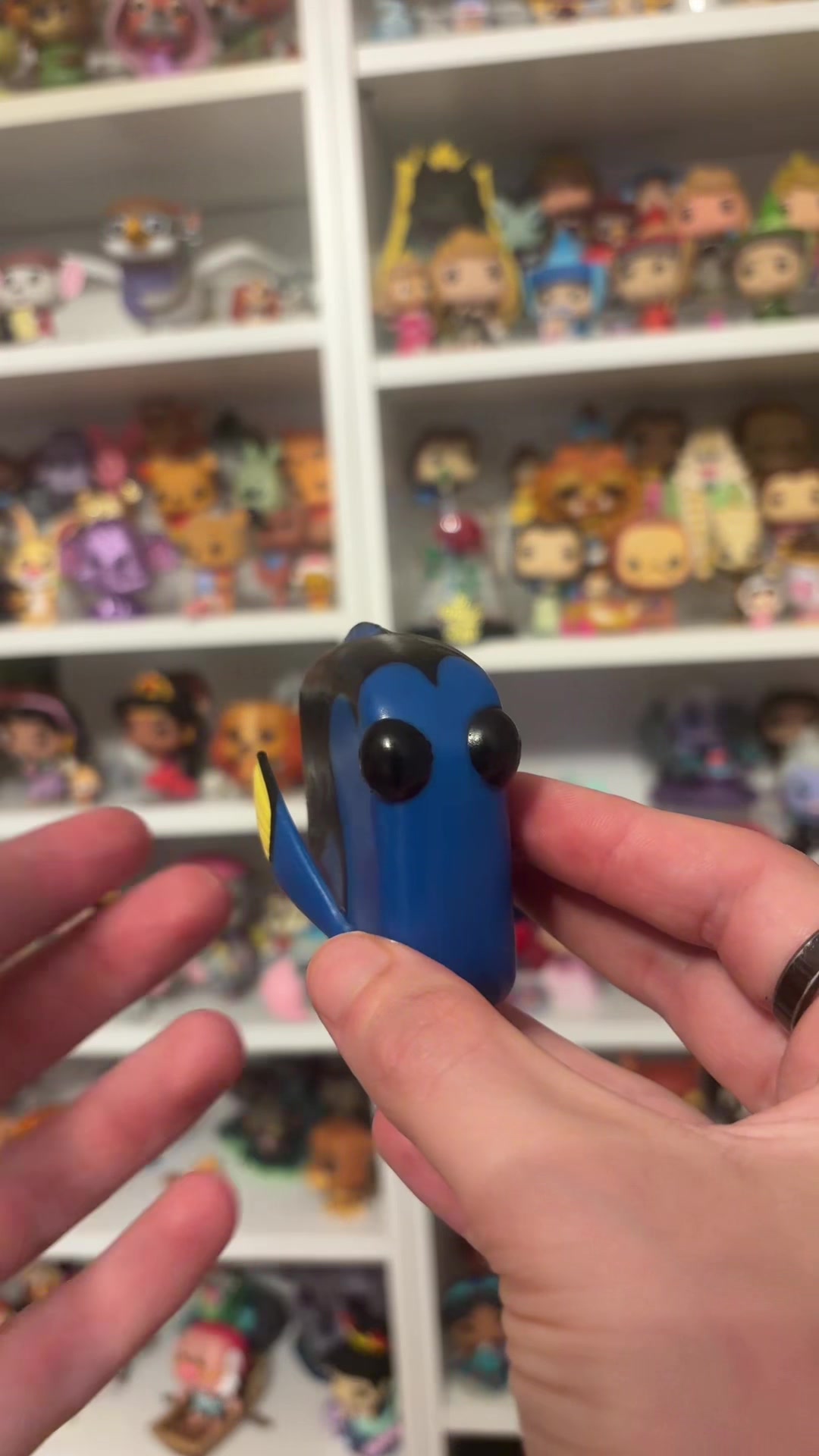 @The Magical Collector ✨️