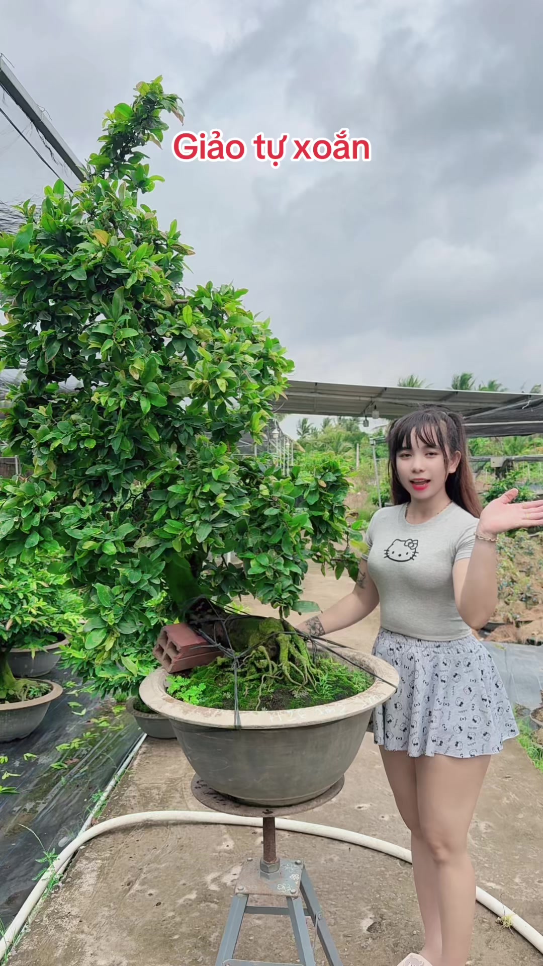 @Chichchoebong79